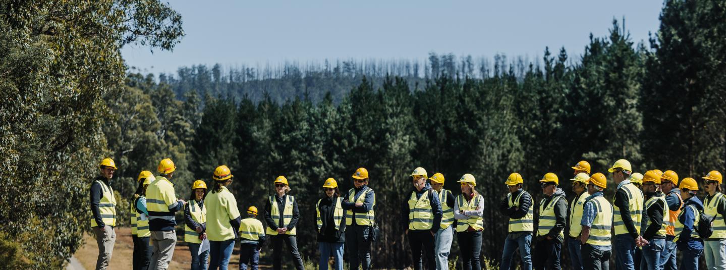 FSC© / FSC Forest Walk 2025